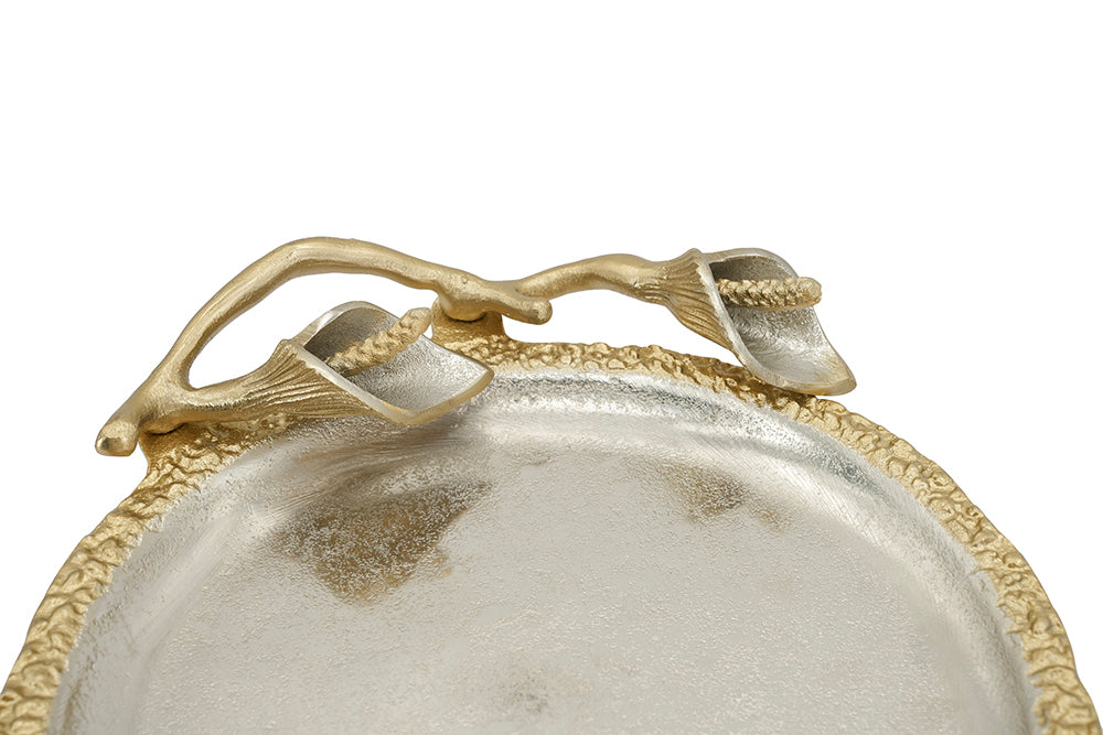 25811910